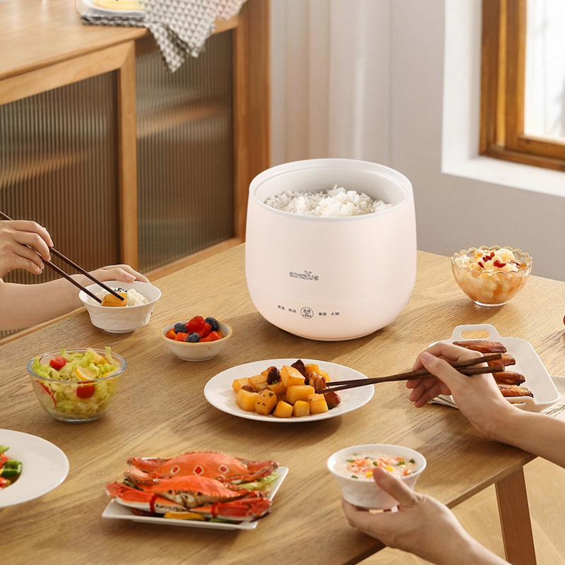 Cuiseur électrique multifoncti - Baby Food Recipe Book avis et prix