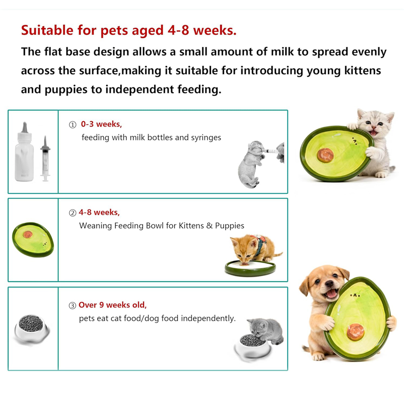 Bol en céramique pour chat, ad - Baby Food Kitten avis et prix